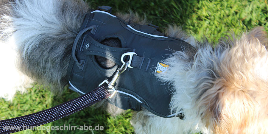 Leine befestigen am Ruffwear Web Master Harness