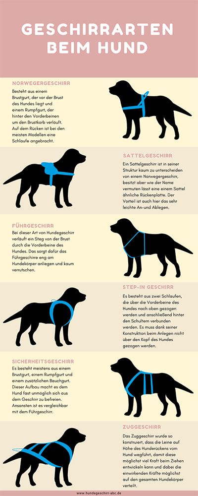 Hundegeschirr Arten Infografik